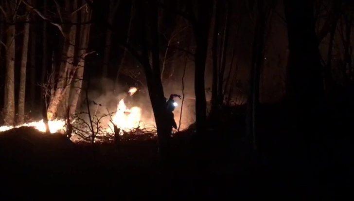 Düzce’deki orman yangını kontrol altına alındı G2