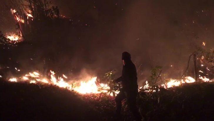 Düzce’deki orman yangını kontrol altına alındı G3