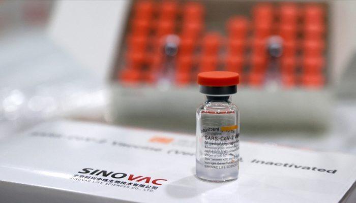 Avrupa İlaç Ajansı'ndan Çin aşısıyla ilgili yeni karar