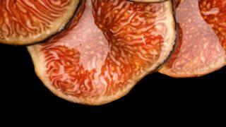 Mucize besin incirin faydaları! İçinde bulunan tohumlar bakın nelere derman oluyor