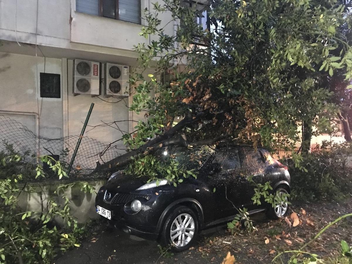 Kadık&ouml;y&rsquo;de şiddetli r&uuml;zgarda park halindeki otomobilin &uuml;zerine ağa&ccedil; devrildi
