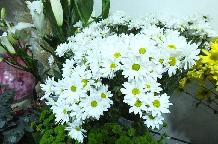 Çiçekçilerin 14 Şubat endişesi G5