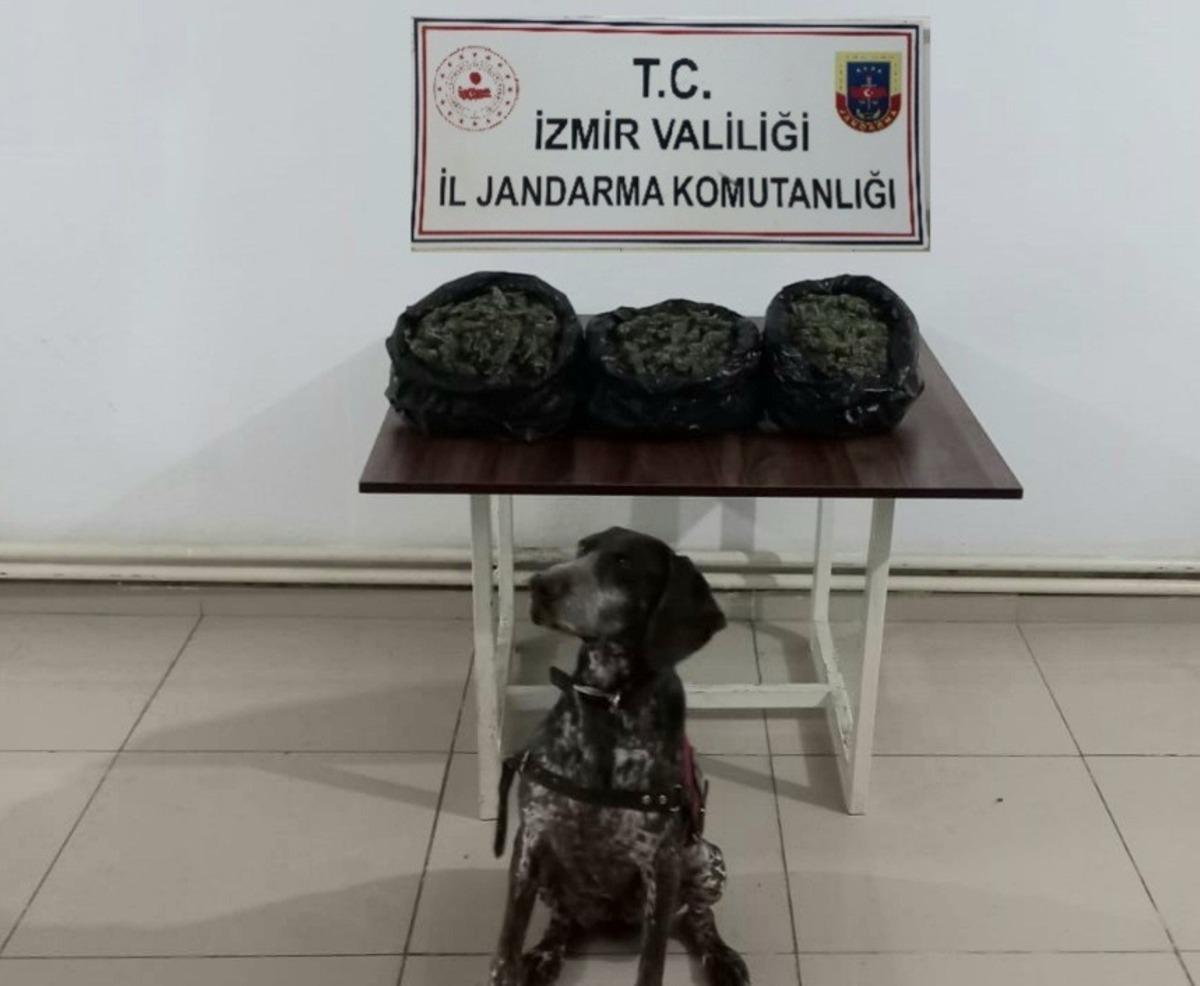 İzmir&rsquo;in 3 il&ccedil;esinde jandarmadan uyuşturucu baskınları