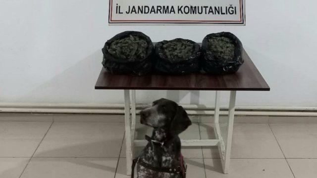 İzmir’in 3 ilçesinde jandarmadan uyuşturucu baskınları