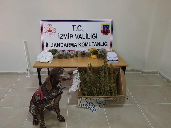 İzmir’in 3 ilçesinde jandarmadan uyuşturucu baskınları G2