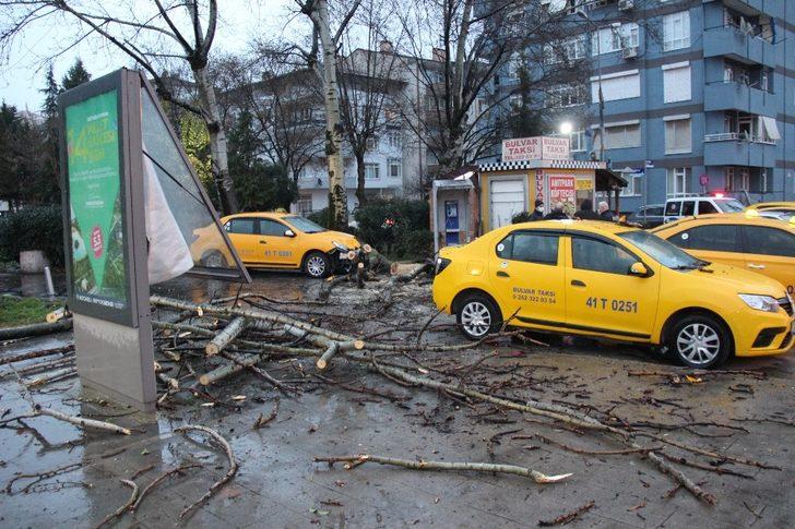 Fırtınanın devirdiği ağaç park halindeki taksileri parçaladı G2