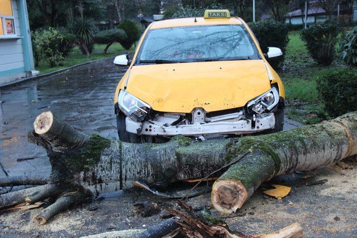 Fırtınanın devirdiği ağaç park halindeki taksileri parçaladı G4