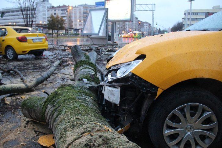 Fırtınanın devirdiği ağaç park halindeki taksileri parçaladı G5