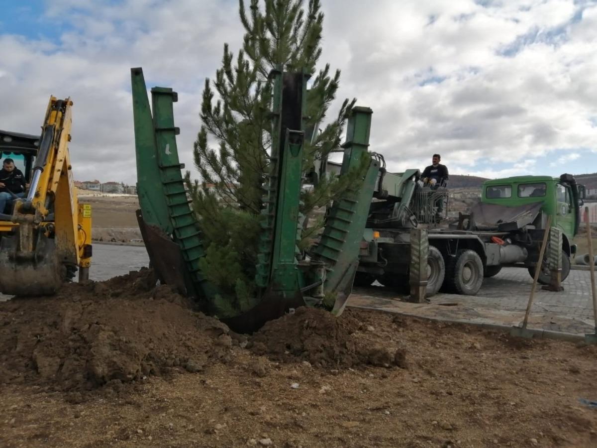 Emet&rsquo;te ağa&ccedil; dikim &ccedil;alışmaları