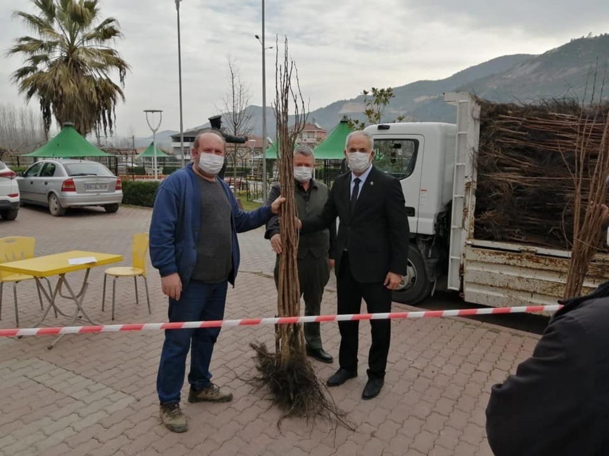 Vatandaşlara 3 bin adet hurma fidanı dağıtıldı