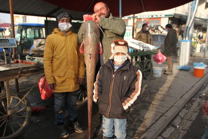 Murat Nehrinde 1,5 metre boyunda balık avladı G1
