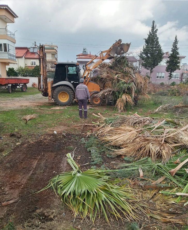 Döşemealtı’nda 120 parkta budama ve bakım yapıldı G4