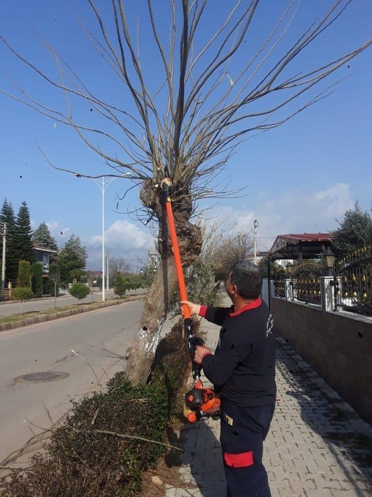 Döşemealtı’nda 120 parkta budama ve bakım yapıldı G5