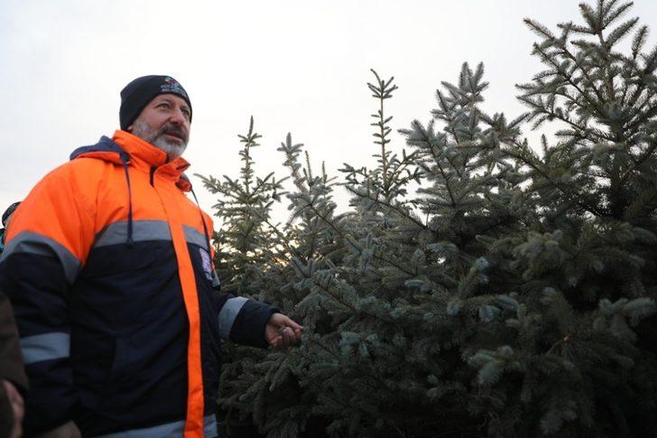 Kocasinan’da hedef 100 bin ağaç dikmek G1