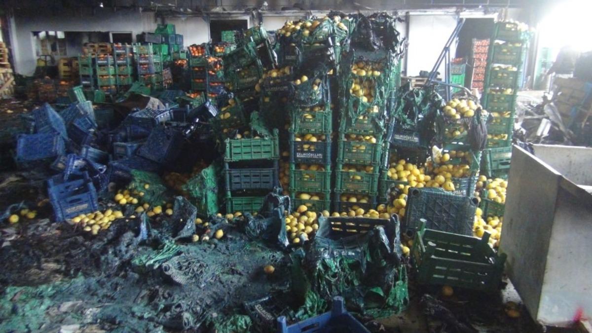 Antalya&rsquo;daki yangında 350 ton sebze k&uuml;le d&ouml;nd&uuml;, 6 milyon zarar var