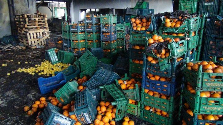 Antalya’daki yangında 350 ton sebze küle döndü, 6 milyon zarar var G2