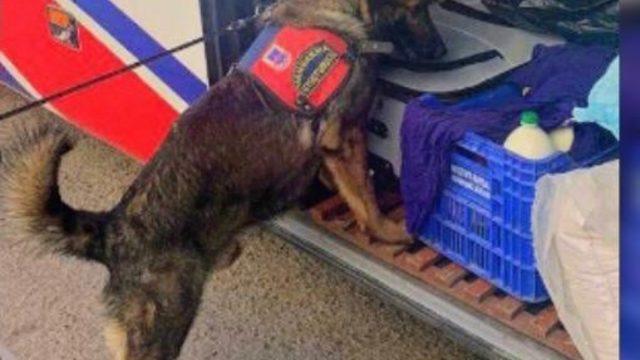 Mardin’de yolcu otobüsünde uyuşturucu ele geçirildi