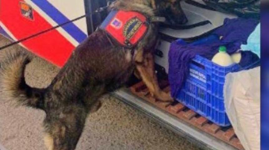 Mardin’de yolcu otobüsünde uyuşturucu ele geçirildi