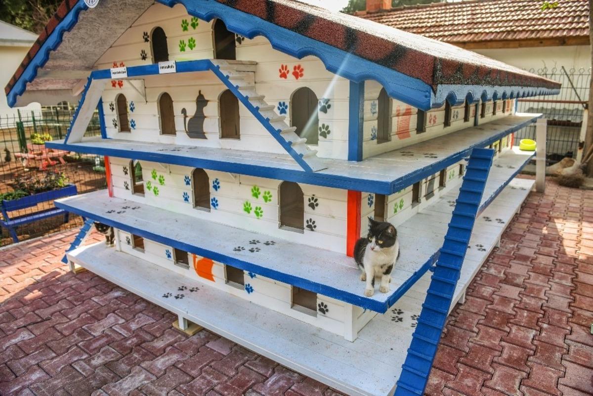 DokumaPark&rsquo;a kedi apartmanı