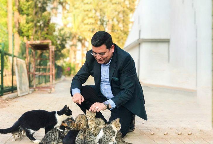 DokumaPark’a kedi apartmanı G2