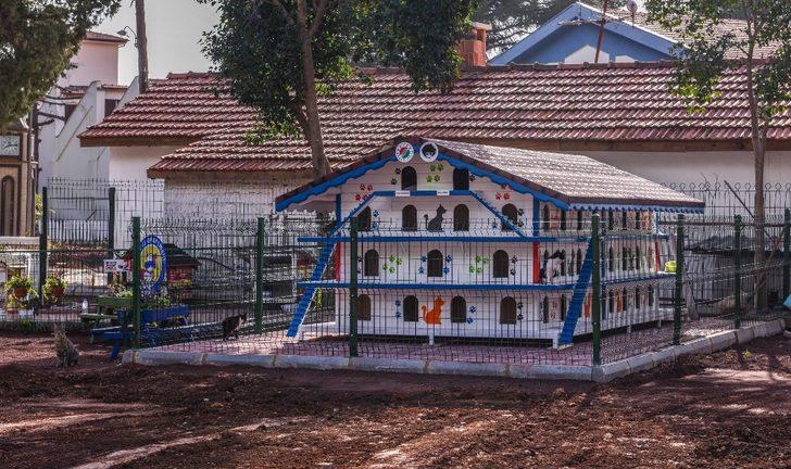 DokumaPark’a kedi apartmanı G5