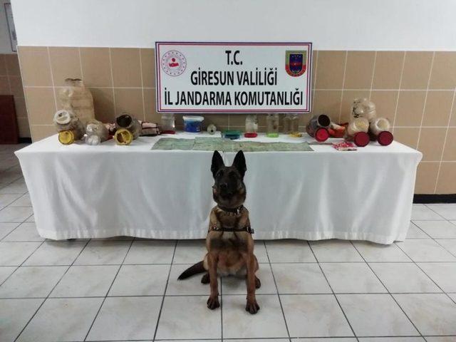 Giresun’da PKK’lıların kullandığı erzak deposu bulundu 1