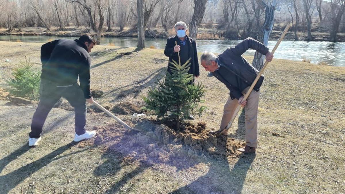 Kaymakam Cebeci&rsquo;nin talimatıyla Tomarza&rsquo;ya 10 bin fidan dikilecek