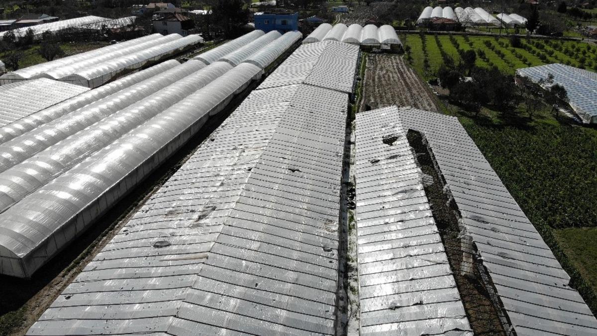 İzmir&rsquo;deki dolu yağışı seraları deldi ge&ccedil;ti