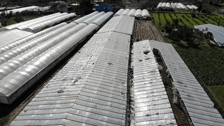 İzmir’deki dolu yağışı seraları deldi geçti G1