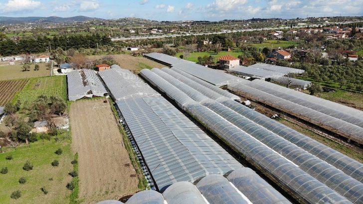 İzmir’deki dolu yağışı seraları deldi geçti G2