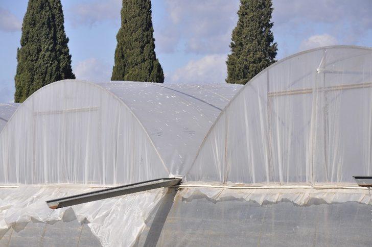 İzmir’deki dolu yağışı seraları deldi geçti G3