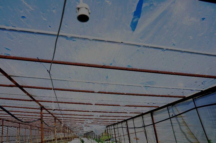 İzmir’deki dolu yağışı seraları deldi geçti G5