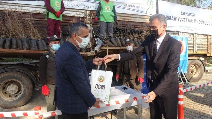 Anamur’da üreticiye fide desteği G2