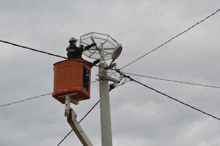 ‘Leylekler Yuvasız Kalmasın’ projesi devam ediyor G1