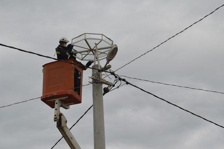 ‘Leylekler Yuvasız Kalmasın’ projesi devam ediyor G4
