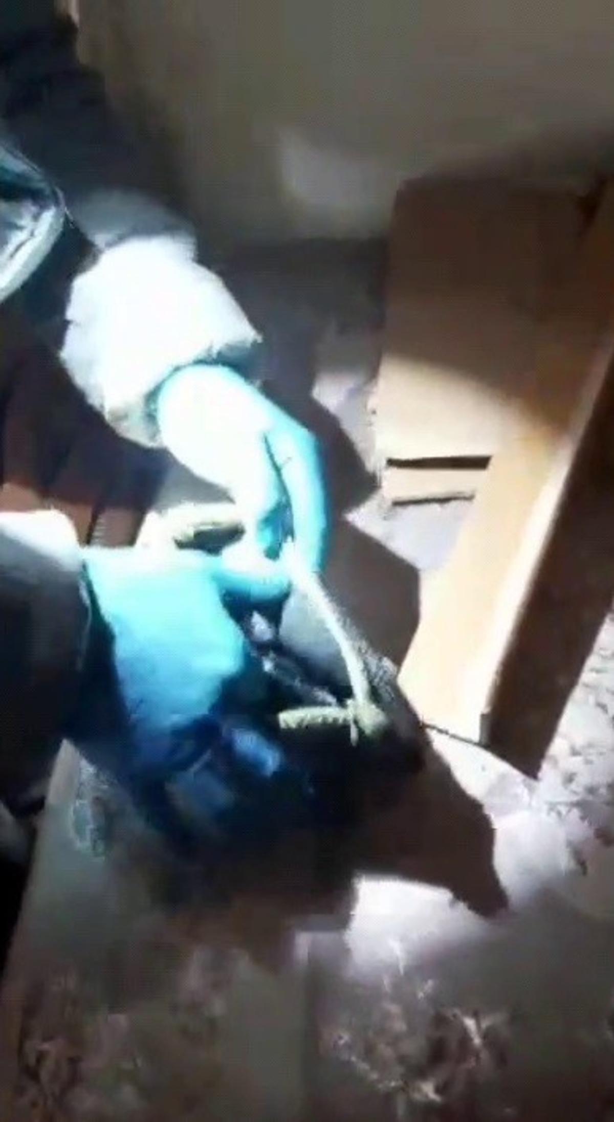 &Ccedil;&ouml;p konteynerinde mahsur kalan kedi kurtarıldı