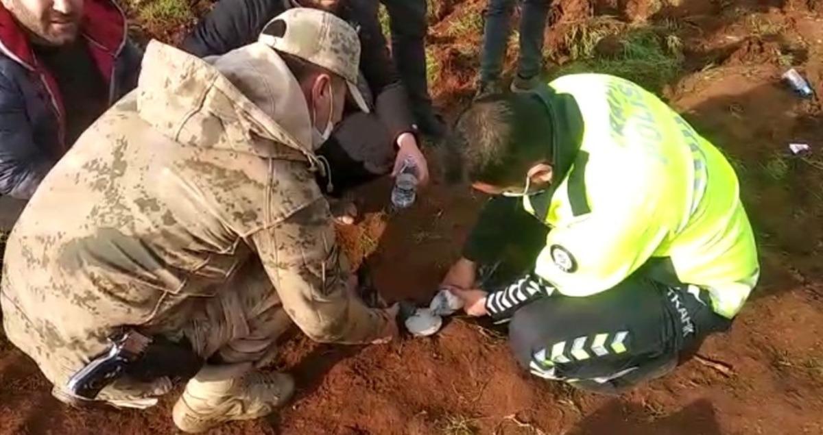 Feci kazada minib&uuml;s&uuml;n altında kalan g&uuml;vercinleri g&uuml;venlik g&uuml;&ccedil;leri kurtardı