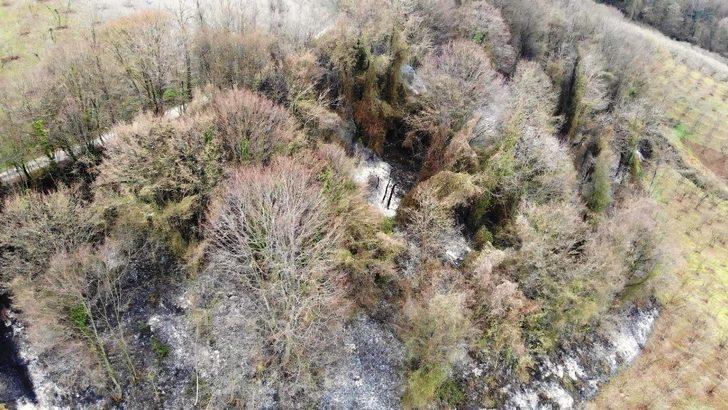 Samsun’da ormanlık alanda yangın G3