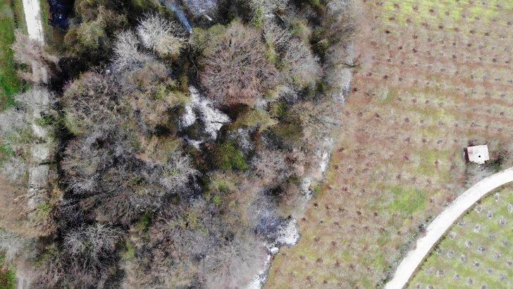 Samsun’da ormanlık alanda yangın G4