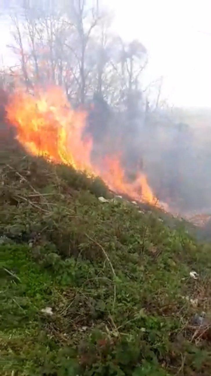 Samsun’da ormanlık alanda yangın G5