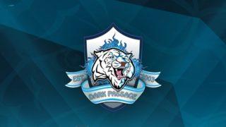 Ferdi 'purelonely' Ebiri Dark Passage Esports'a veda etti!