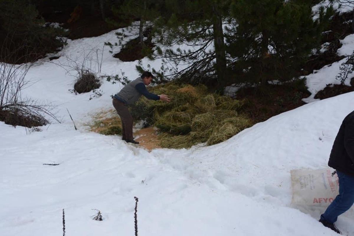 Afyonkarahisar&rsquo;da yaban hayvanlarına yem bırakıldı