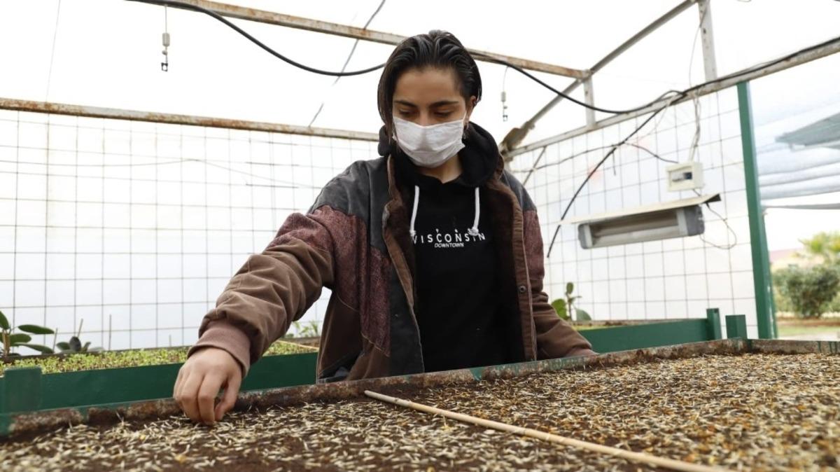 Sevgi &ccedil;i&ccedil;eklerini kendileri yetiştiriyor