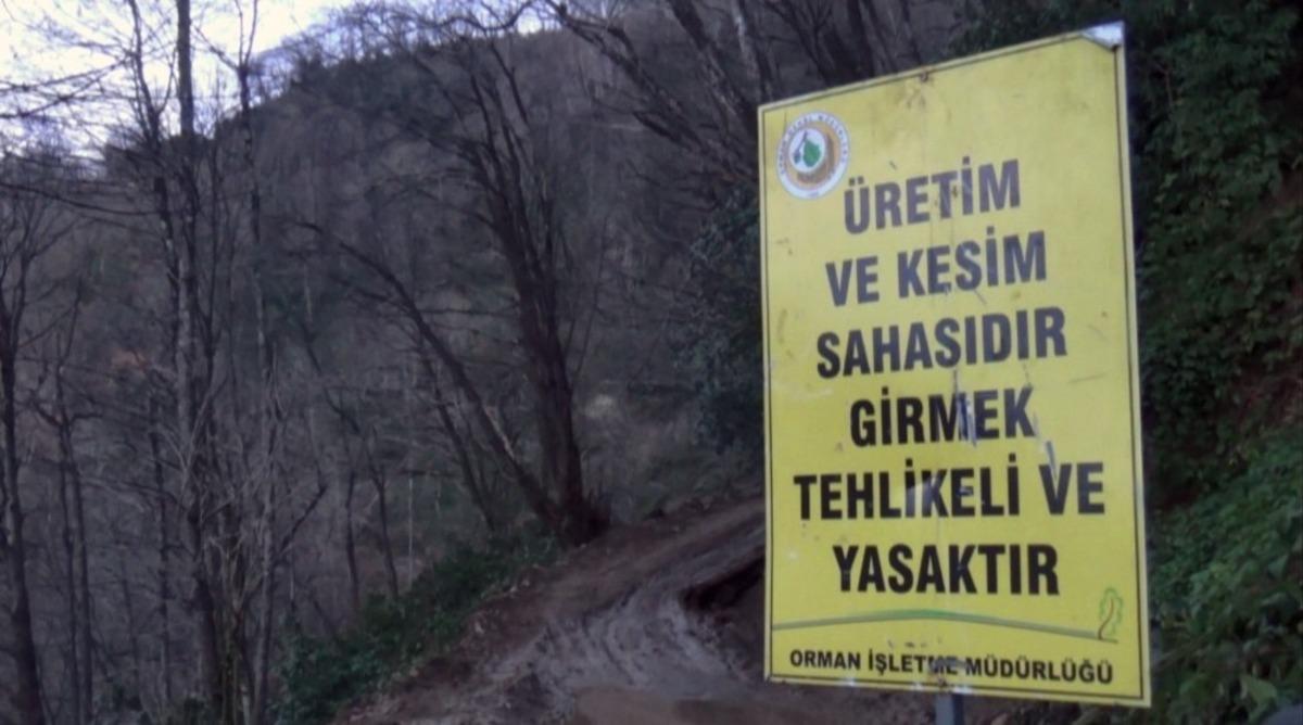 K&ouml;yl&uuml; ormanına sahip &ccedil;ıktı, usuls&uuml;z kesim durduruldu