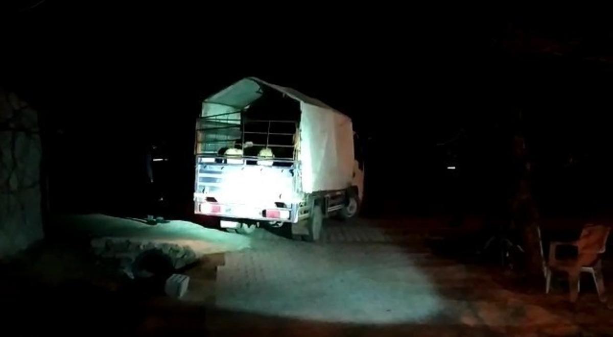 Şehit annesi &ccedil;alınan kuzu ve koyunlarına kavuştu