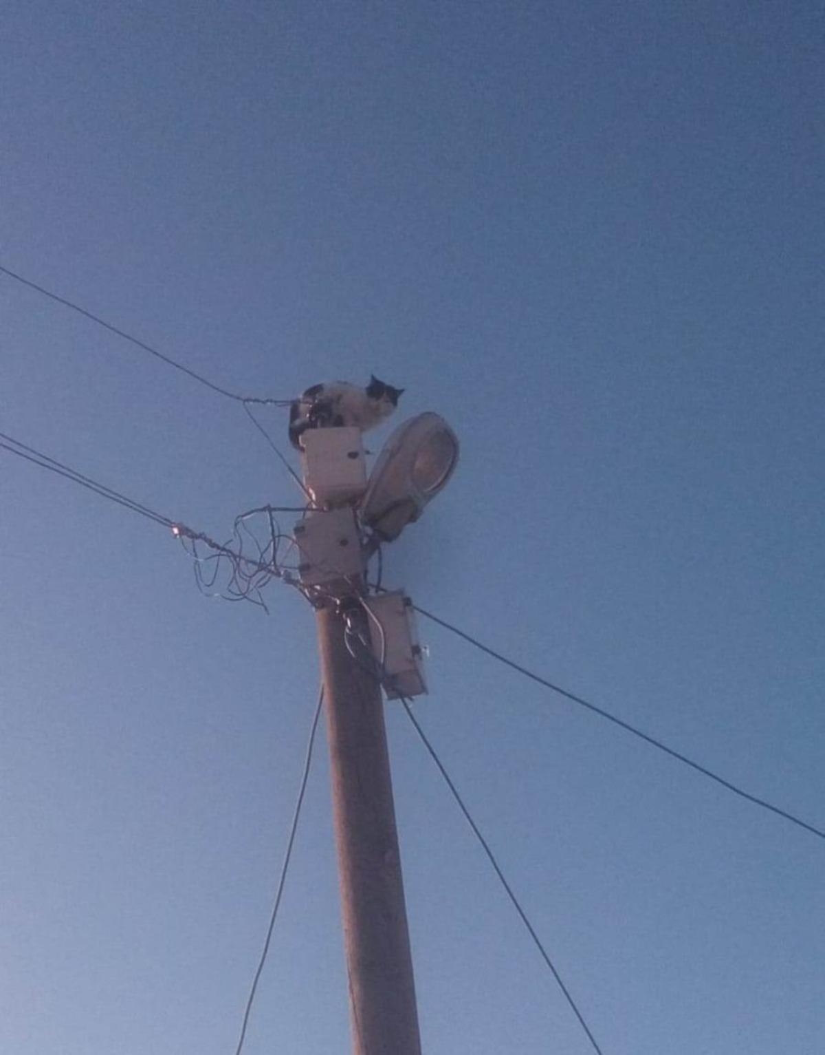 Van&rsquo;da g&uuml;ld&uuml;ren yardım &ccedil;ağrısı