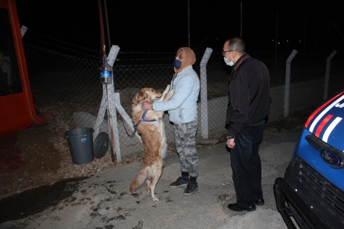 Kırmızı ışık ihlali kazası en &ccedil;ok Hera&rsquo;yı korkuttu