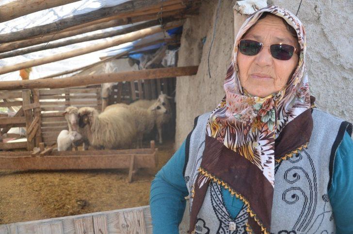 JASAT ekipleri koyunları çalınan şehit annesini mutlu etti G4