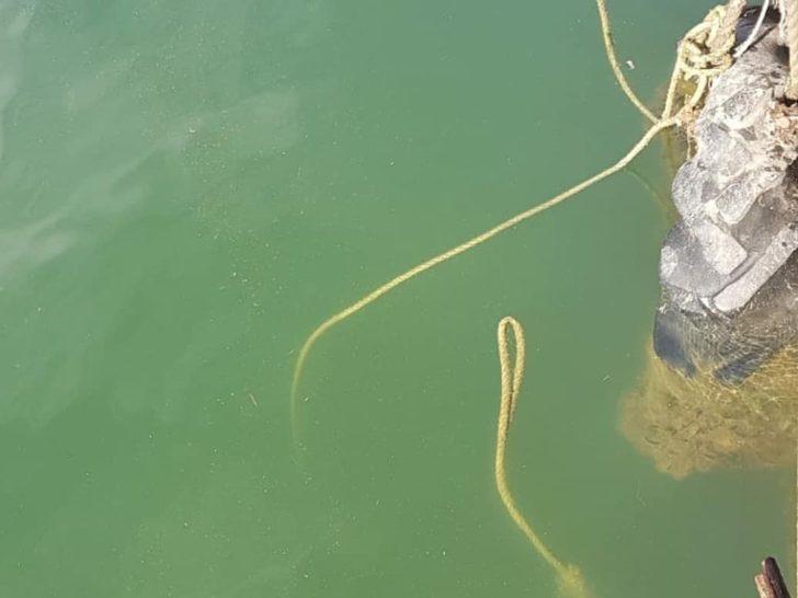 Denizde ‘Trol’ kapısı bulundu G3