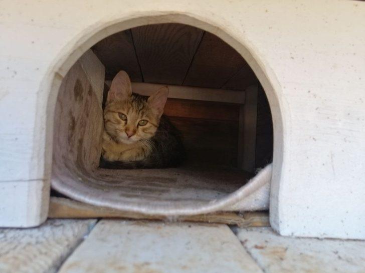 Patikent açılışa hazırlanıyor G4